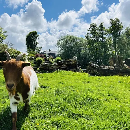 Bungalowpark De Horn - Floresta 214 * Dirkshorn