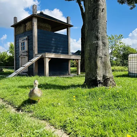 Bungalowpark De Horn - Floresta 214 펜션