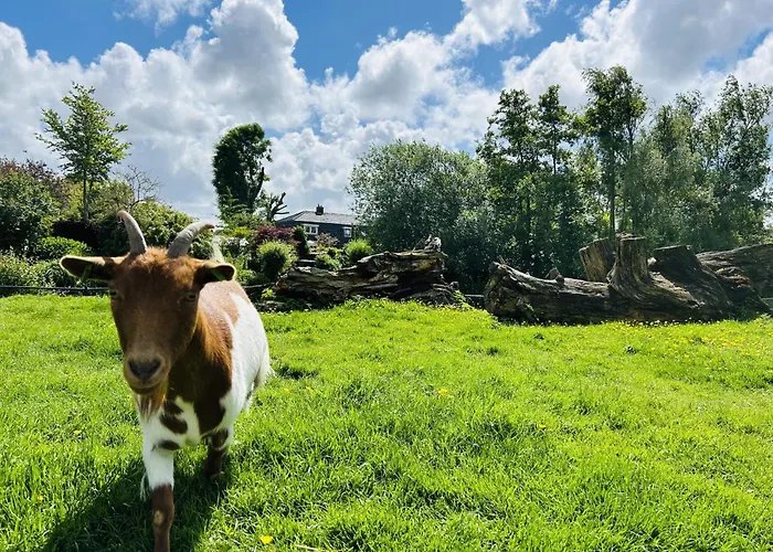 Bungalowpark De Horn - Floresta 214 * Dirkshorn