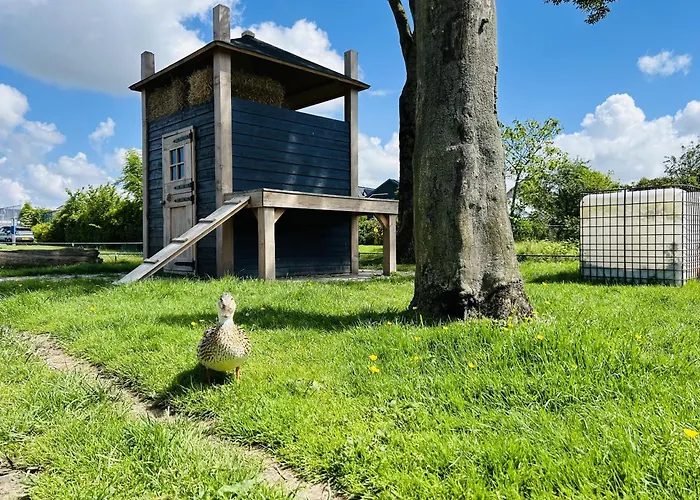 Bungalowpark De Horn - Floresta 214 펜션